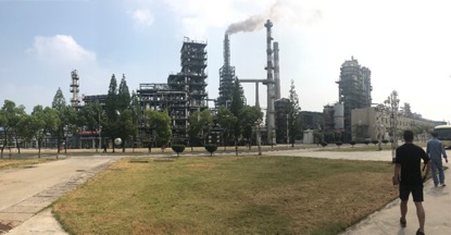 走向绿色未来：生物可降解材料的无限潜力