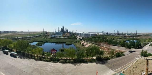 走向绿色未来：生物可降解材料的无限潜力